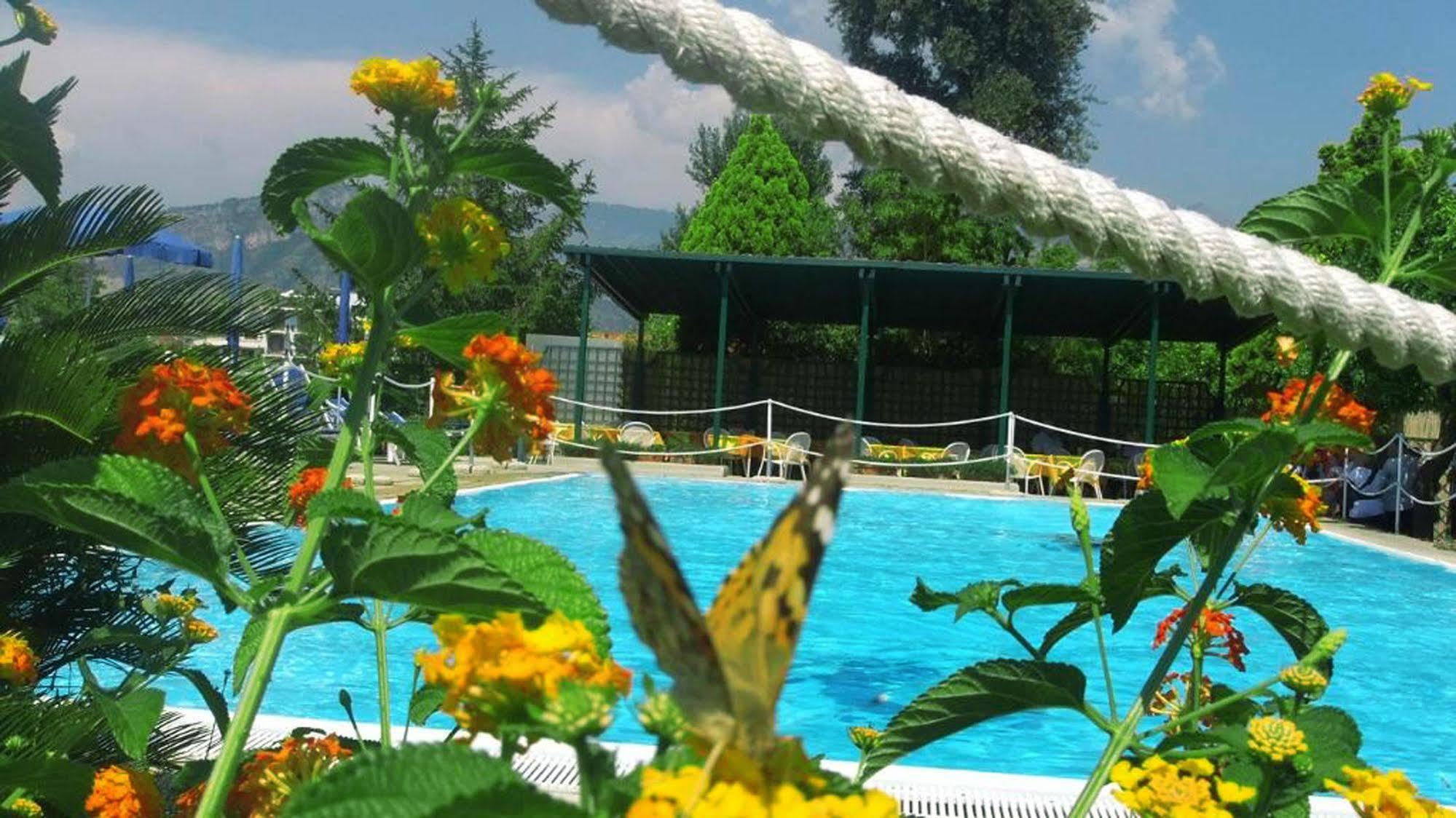 Girasole Península Sorrentina